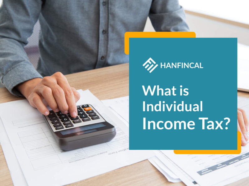 What Is Individual Income Tax?