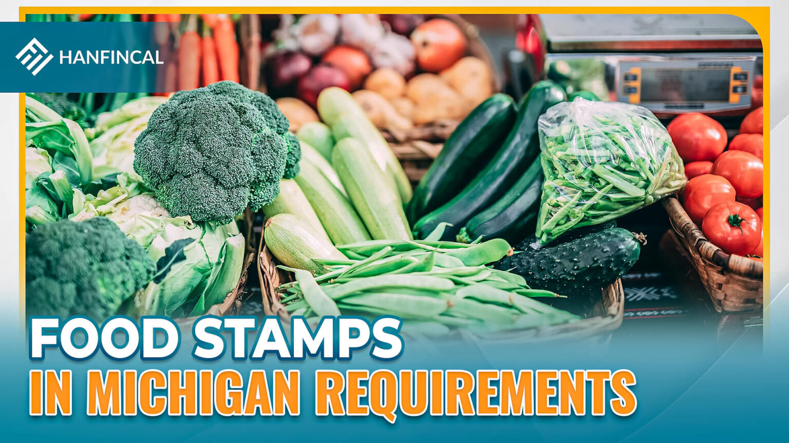 How to apply for Food Stamps in Michigan (02/2023)? Hanfincal