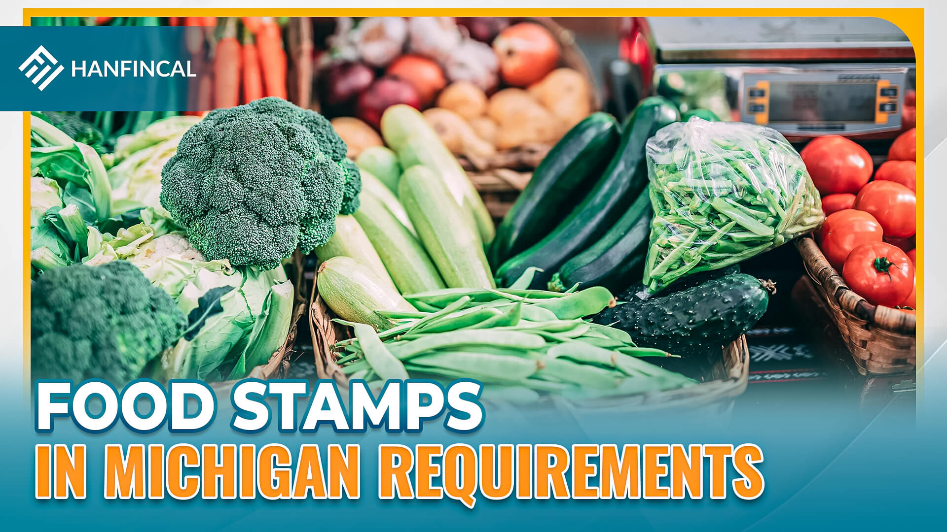 How To Apply For Food Stamps In Michigan 02 2023 Hanfincal