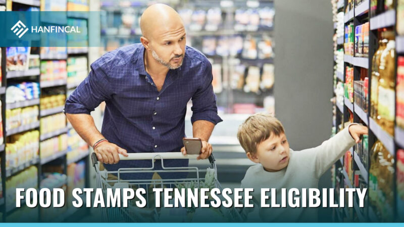 How to apply for Food Stamps in Tennessee (02/2023)? | Hanfincal