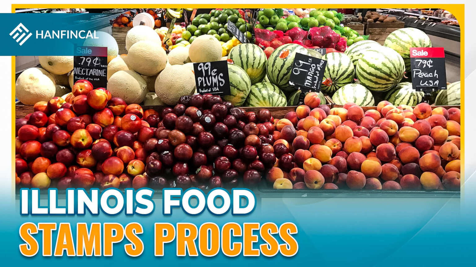 How To Apply For Food Stamps In Illinois (02/2023)? Hanfincal