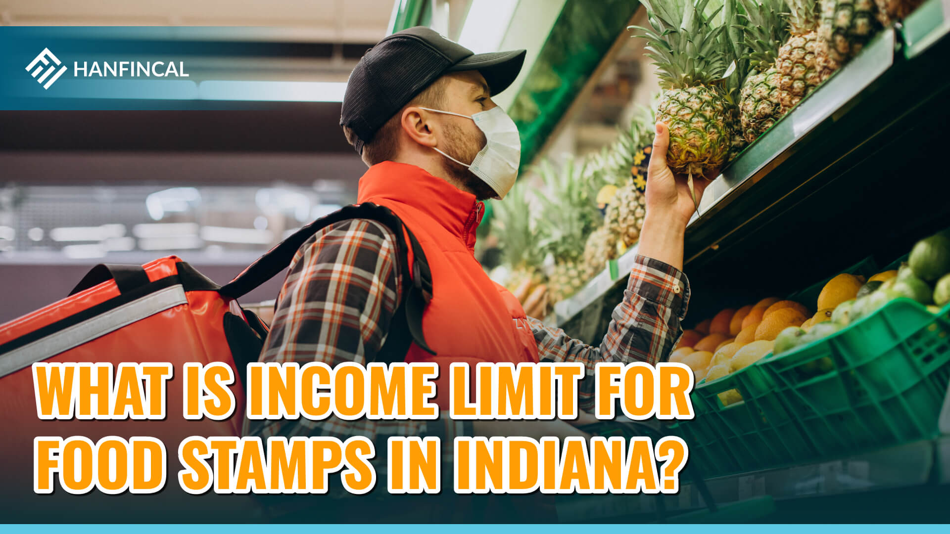 income limit for food stamps in indiana
